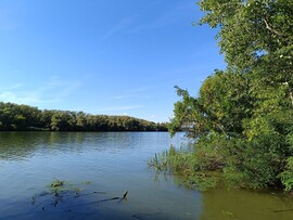 Tiszaszőlős