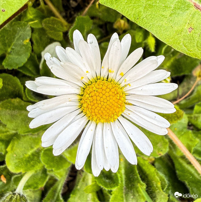 Budapest XIX.ker - Kispest