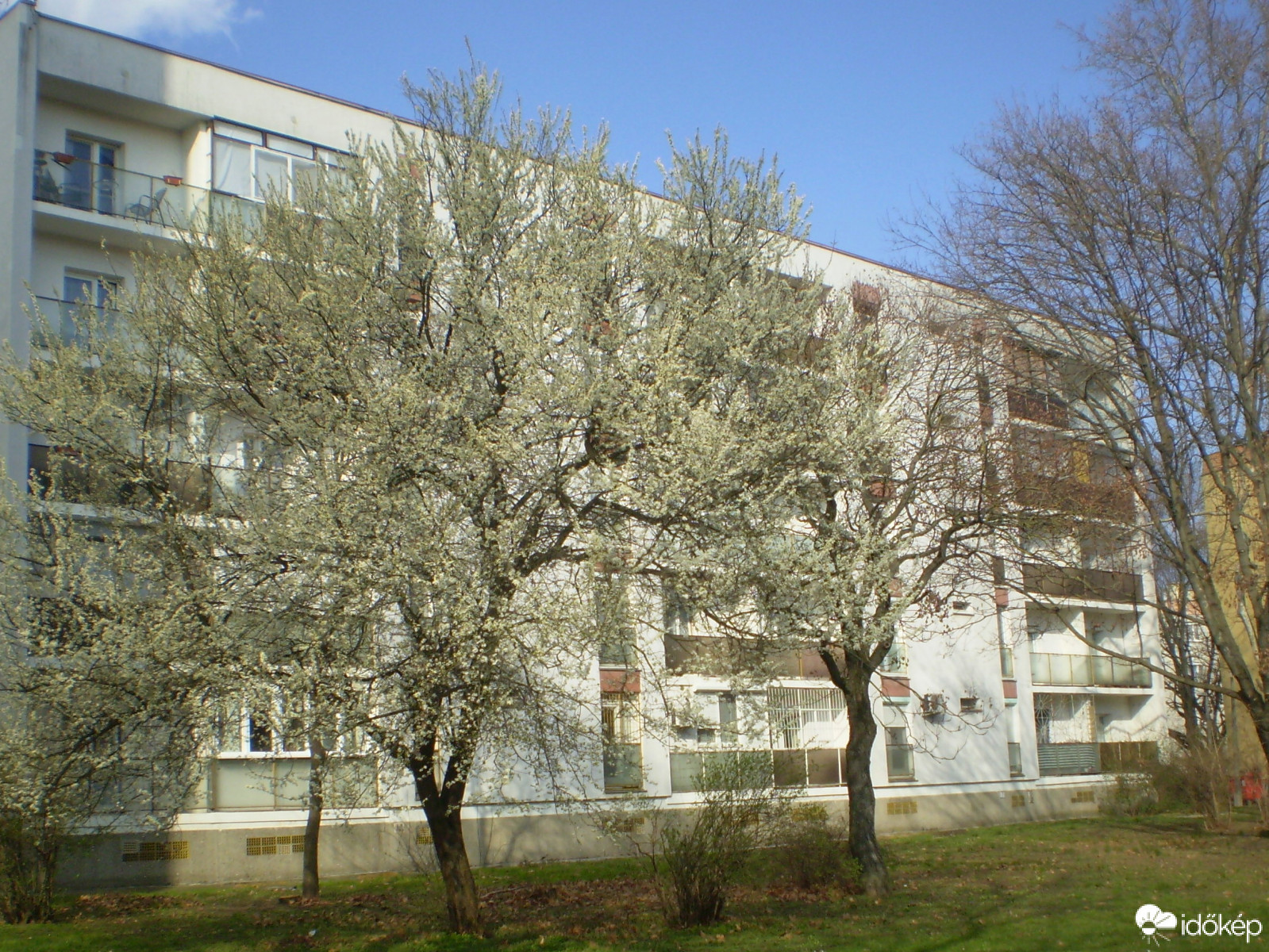 Pécs