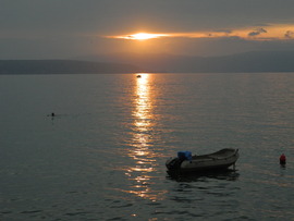 Nyjivice