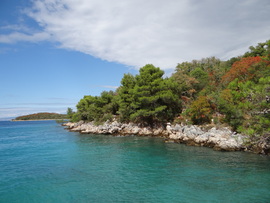 Njivice