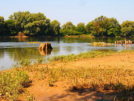 Dráva 
