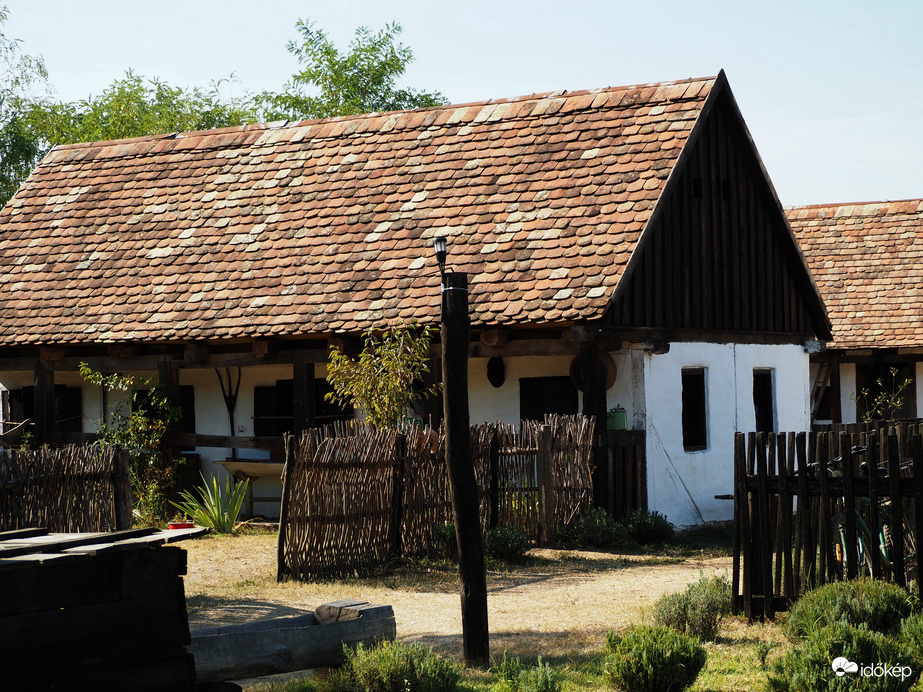 Szaporca 