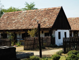 Szaporca 