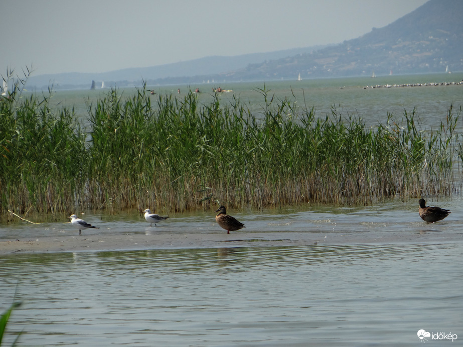 Balatonszemes