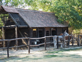Szaporca 