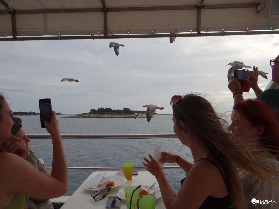 Brijuni közelében Horvátország 