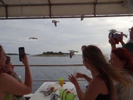 Brijuni közelében Horvátország 