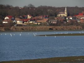 Csertői halastó Baranya vármegye 