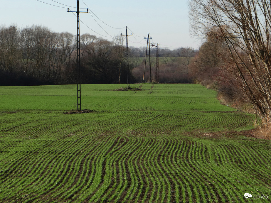 Jövő évi kenyerünk 