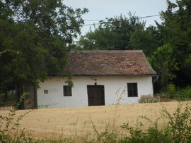 elter fotója
