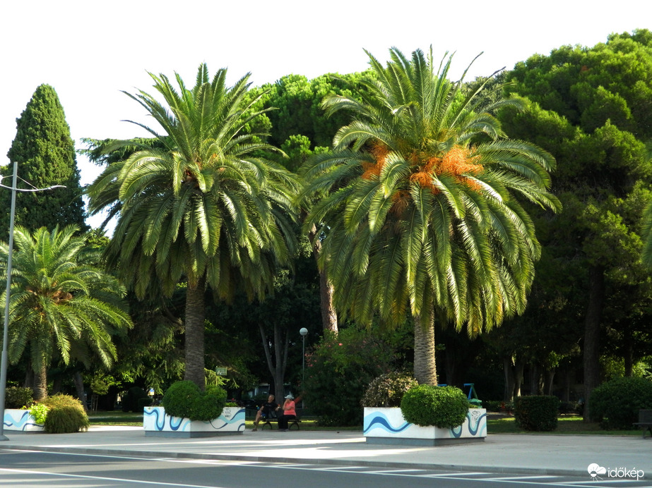 Pula kikötő melletti park 