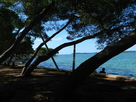 Fazana Horvátország 