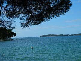 Fazana Horvátország 