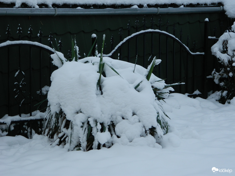 Abaliget ma délelőtt    