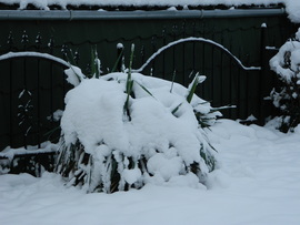 Abaliget ma délelőtt    