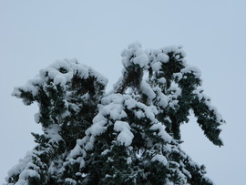 Abaliget ma délelőtt    