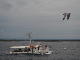 Öreg teknő küzd a hullámokkal az Adrián 