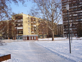 Szikrázó Napsütésben Készült Pécs 2009. 12. 21 