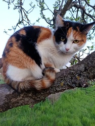 Ciceró mély gondolatok közt