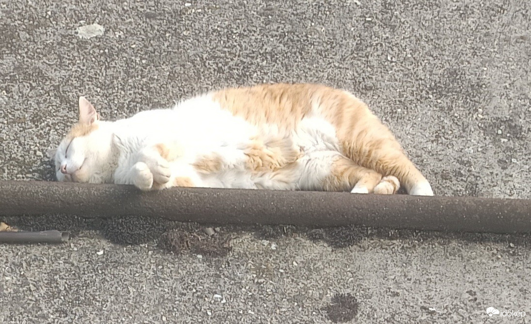 Elfáradt a rúdtáncos