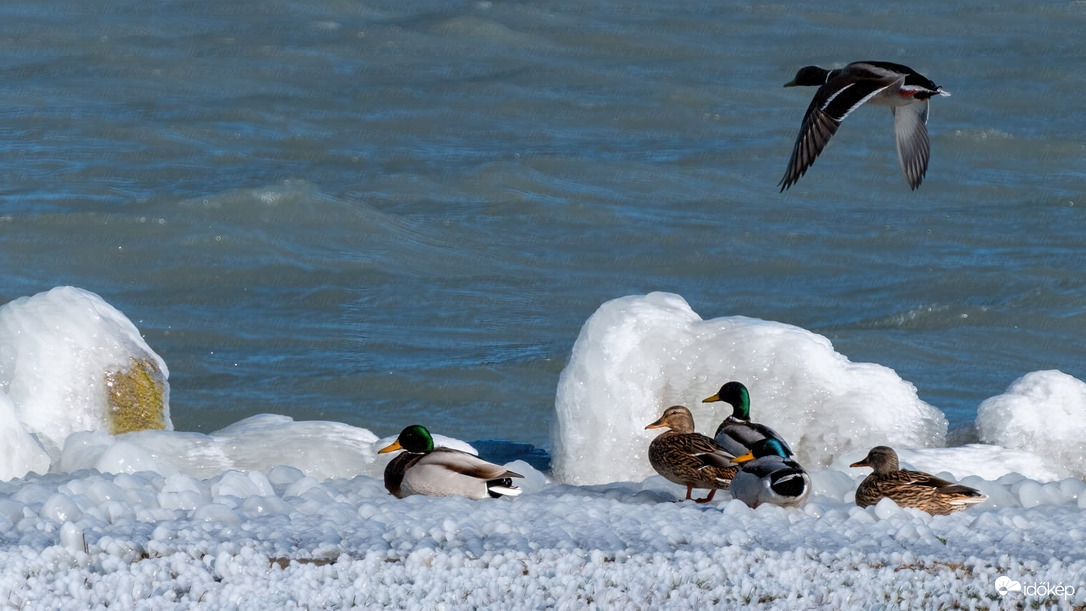 Fagy és szél alkotta jégcsoda_09