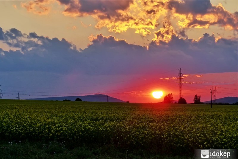 Veszprém határában tegnap