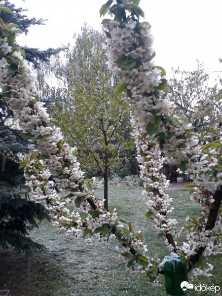 Debrecen