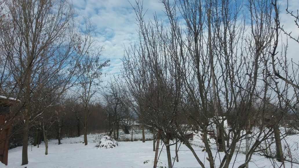 Kacsóta