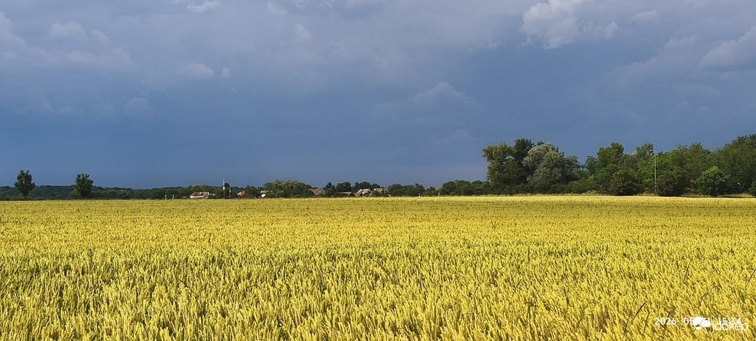 Molnaszecsőd