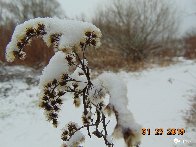 Megrogyva bár,de törve nem :)