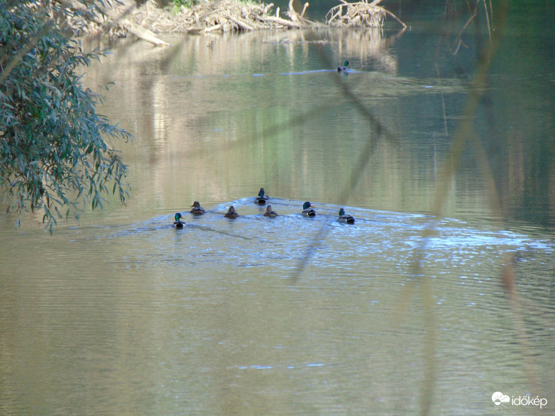 Meghallották,hogy zörögtem :)