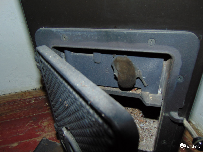 •Denevér a kályha fogságában (-: