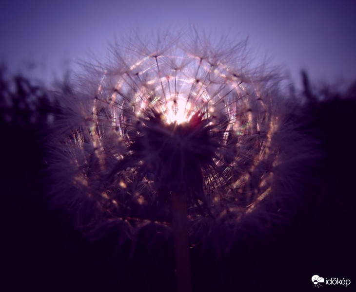 Egy hangulatos nyári estén