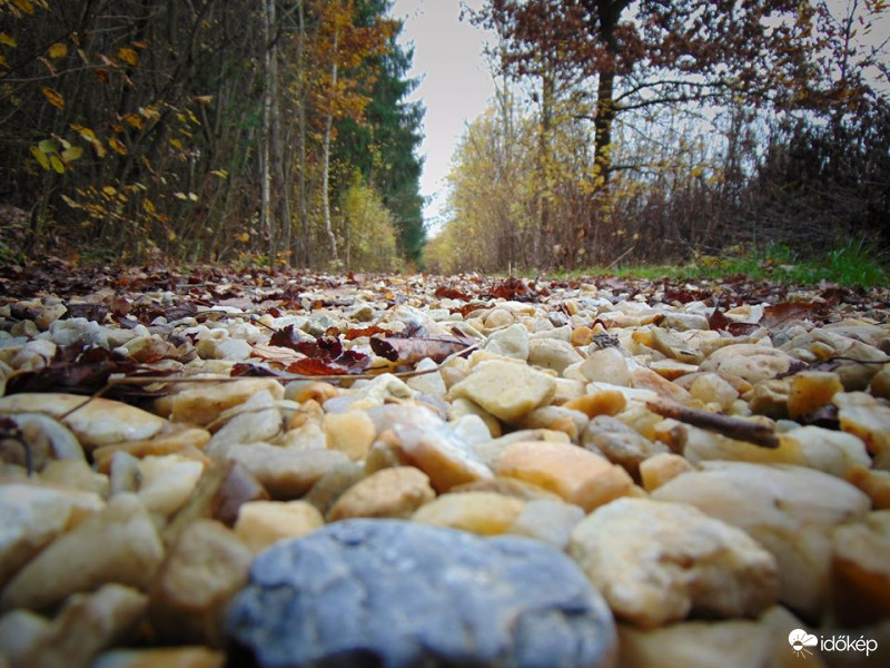 Útnak indultam,végül hazataláltam