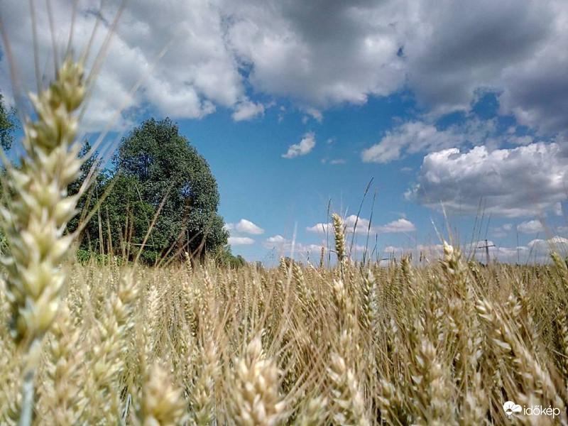 Nyári fotó a Rába völgyéről