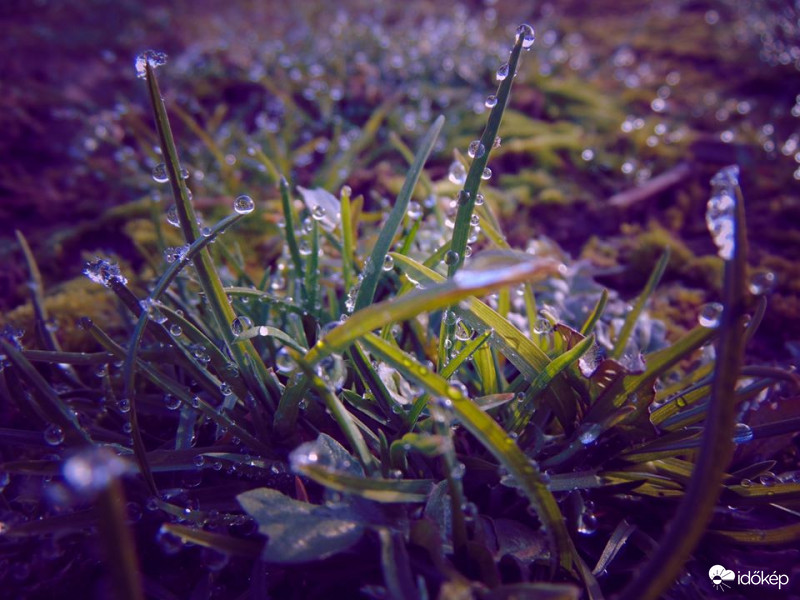 Az olvadás pillanatai 