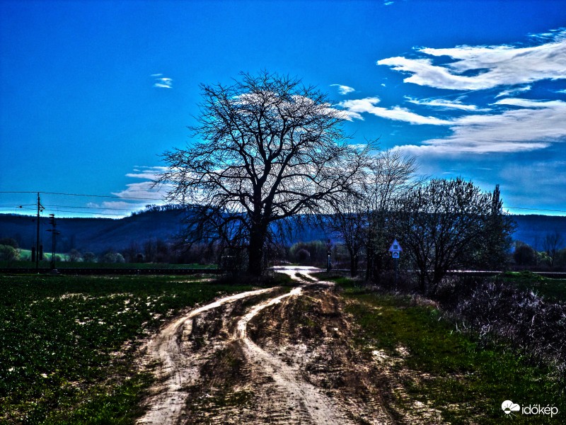 Pókaszepetk határában