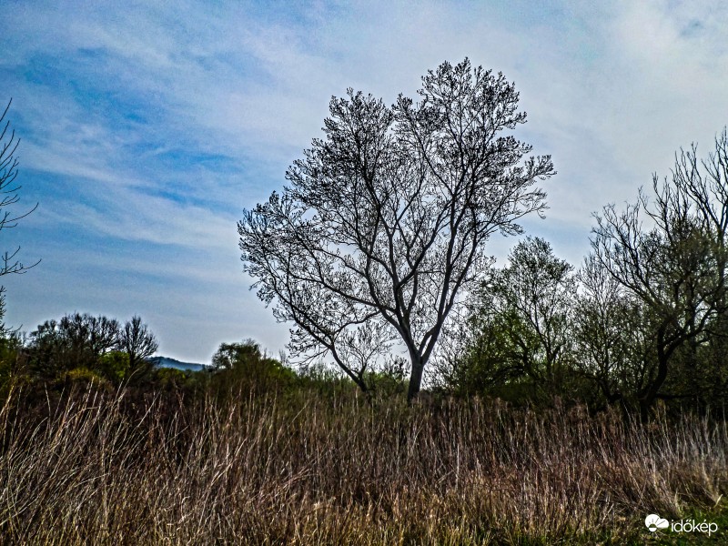 Pókaszepetk határában
