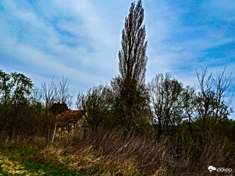 Pókaszepetk határában