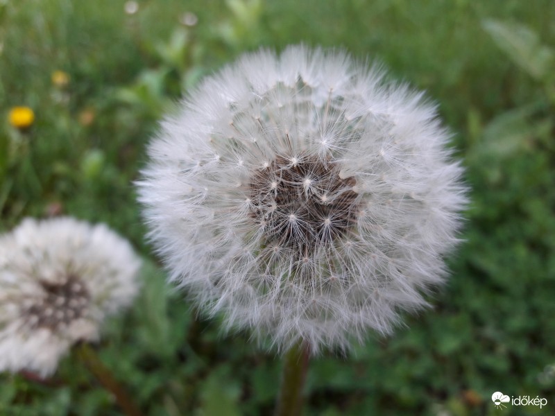 "Indulásra" készen...