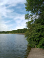 Görgeteg