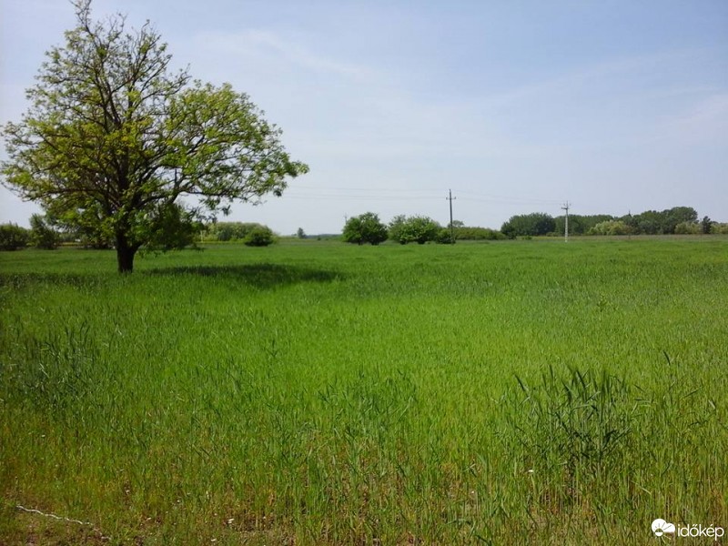 Tázlár