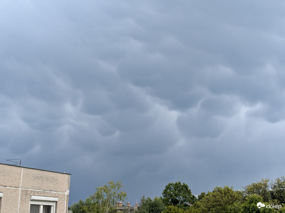Mammatus