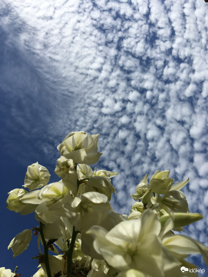 Gyönyörű felhők délután