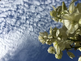 Gyönyörű felhők délután