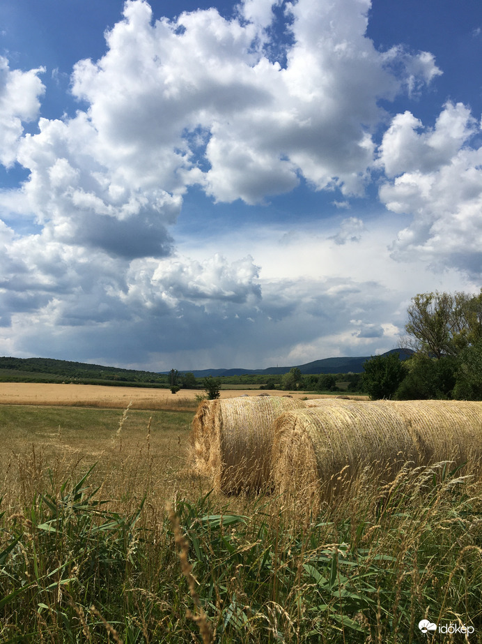 Jártamban, keltemben…