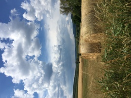 Jártamban, keltemben…