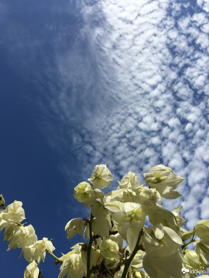 Lassan szertefoszlik