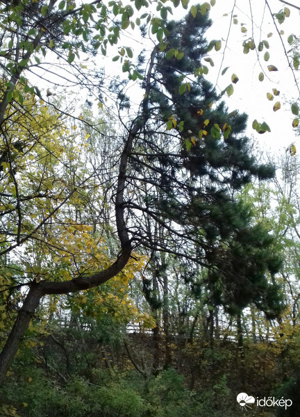 Kanyargósan... :)